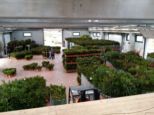 Azienda